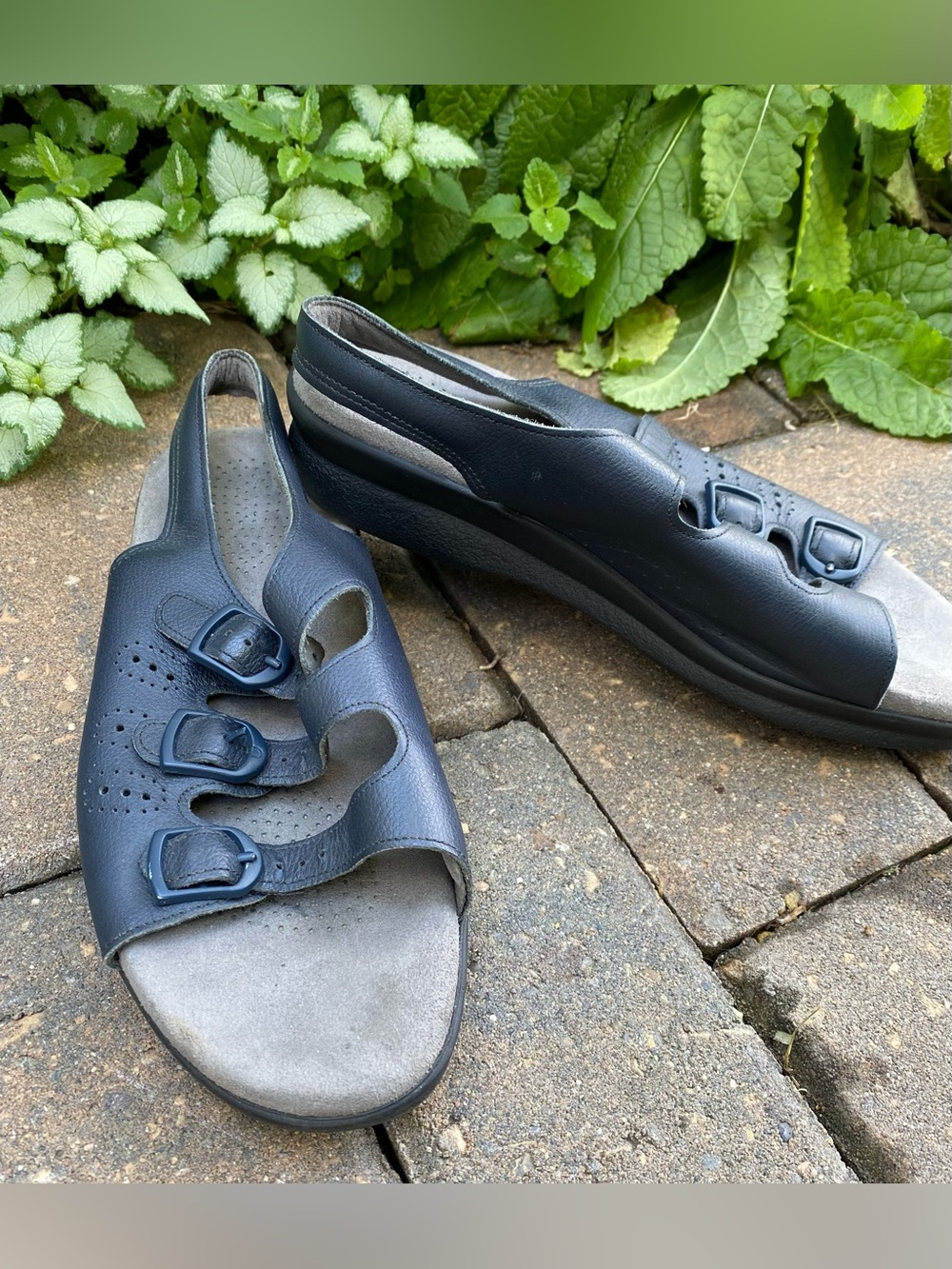 NWOB SAS NAVY Sandals, 7.5 Summer Sale